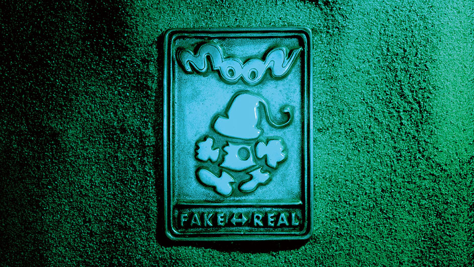 moonkeyvisual(fake-and-real)